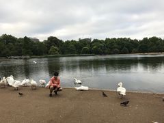 -海德公园