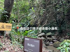 -阳台山森林公园