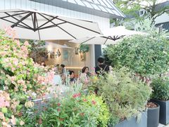 -花神·轻食简餐·咖啡馆·花卉绿植(荷兰花卉小镇店)