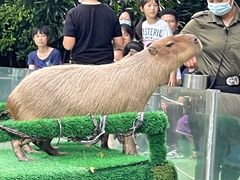 -东方雅典水疗美食汇(金海岸大厦店)