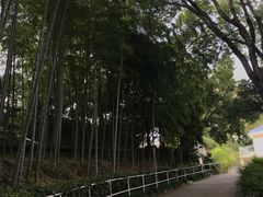 -上海市保健医疗中心(华东疗养院)