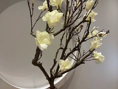 -不凡脑禅境·养生·舒压调理SPA(华发世纪城店)