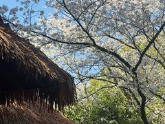 -中国茶叶博物馆(双峰馆区)