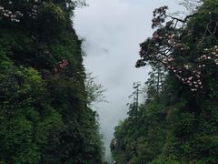 -峨眉山风景名胜区