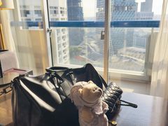 -新加坡瑞士史丹福酒店