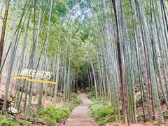 -天花井景区
