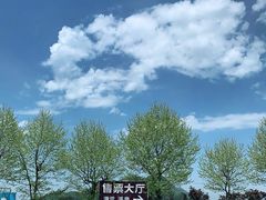 -江南天池