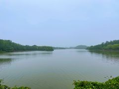 -塘沽森林公园