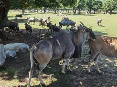 -西安秦岭野生动物园