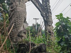 -南山植物园