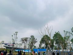 -成飞公园