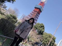 -东京塔海贼王主题公园