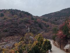 -府君山公园