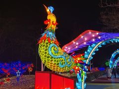 -青龙湖公园