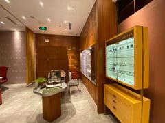 -上野眼镜(深圳湾万象城店)
