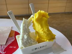 -野人牧坊Gelato(天津南开大悦城店)