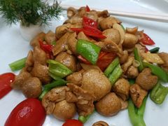 黄蘑菇耗牛肉-清真悦宾楼食府(海湖店)