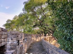 -广州莲花山旅游区