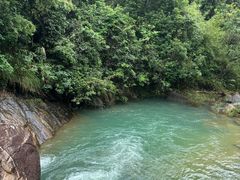 -广州白江湖森林公园