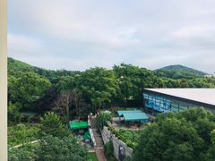 -上海佘山世茂艾美酒店