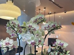 -上海华夏假日酒店