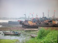 -日照海滨国家森林公园