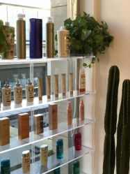 -THE LOG SALON 记录