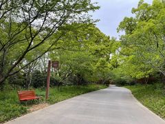 -上海滨江森林公园