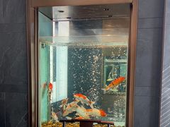 -浩运海鲜·16年专注青岛菜(石老人店)