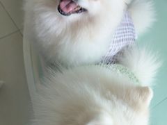 -怪兽屋·羊驼·猫咖·狗咖(俊华广场店)