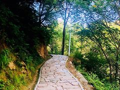 -大岭沟猕猴桃谷风景区