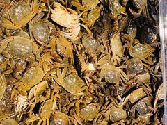 -欢乐牧场海鲜烤肉自助(牡丹园店)