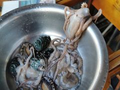 -东海章鱼馆(恒瑞街店)