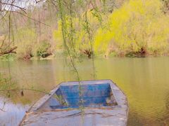 -贵阳市花溪国家城市湿地公园