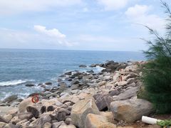 -广东惠东海龟国家级自然保护区