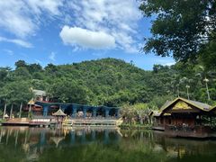 -西双版纳原始森林公园