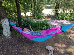 -铁山坪森林公园