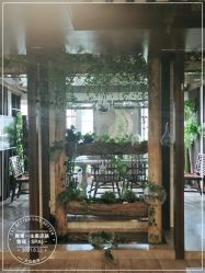 -青青一生美皮肤管理