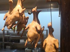 -燕郊烧鸽子(广安路店)