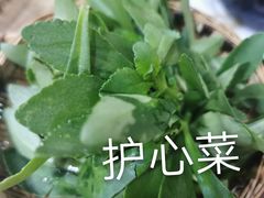-藏味八珍特色火锅
