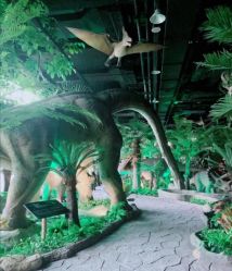 -恐龙探索乐园(磁器口店)