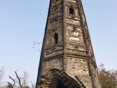 -上海佘山国家森林公园天马山园