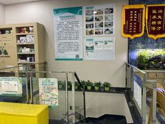 -瑞派名望24h动物医院异宠专科·猫专科·骨科·重症监护分院