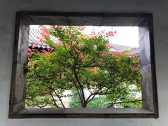 -秋霞圃