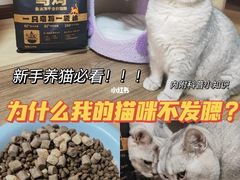 -瑞鹏宠物医院犬猫全科(真大分院)