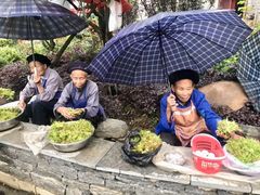 -高荡千年布依古寨旅游景区