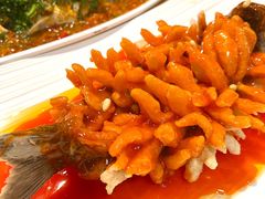 松鼠鱼-赤宴·川菜(玉林店)
