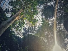 -郑州植物园