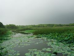 -同里国家湿地公园