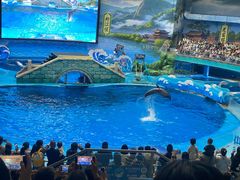 -海合安成都极地海洋公园